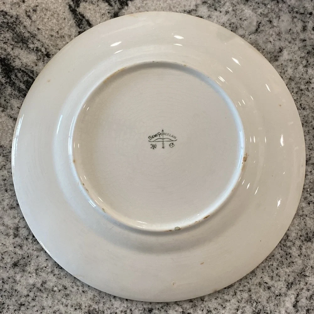 Antique Harker Pottery Co. Semi-Porcelain Wild Rose Plate c. 1890-1910!